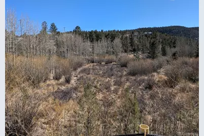 261 Appleby Street, Bailey, CO 80421 - Photo 3