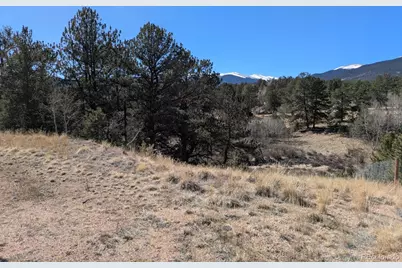 261 Appleby Street, Bailey, CO 80421 - Photo 1