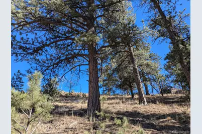 261 Appleby Street, Bailey, CO 80421 - Photo 13