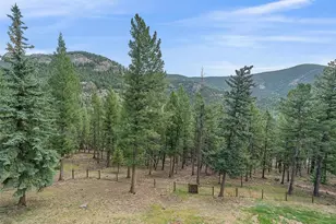 254 Juniper Ln, Evergreen, CO 80439 - Photo 35