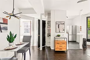 215 E 11th Ave, Denver, CO 80203 - Photo 11