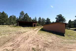 278 Blue Grouse Cir, Westcliffe, CO 81252 - Photo 5