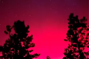 30642 Buck Brush, Buena Vista, CO 81211 - Photo 47