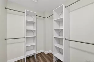 9792 Sydney Ln, Highlands Ranch, CO 80130 - Photo 29