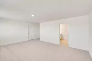 393 N Amory St, Watkins, CO 80137 - Photo 15