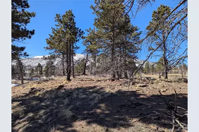 659 Richard Drive, Fort Garland, CO 81133 - Photo 3