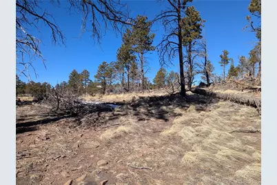 659 Richard Drive, Fort Garland, CO 81133 - Photo 7