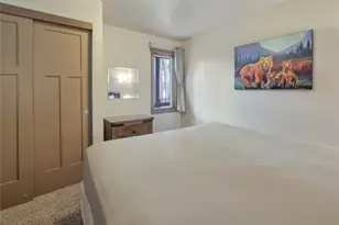1173 Ski Hill Rd, Breckenridge, CO 80424 - Photo 17