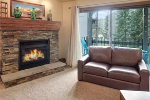 1173 Ski Hill Rd, Breckenridge, CO 80424 - Photo 7