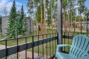 1173 Ski Hill Rd, Breckenridge, CO 80424 - Photo 11