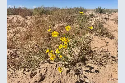 Lot 81 Jason Trail, San Luis, CO 81152 - Photo 15