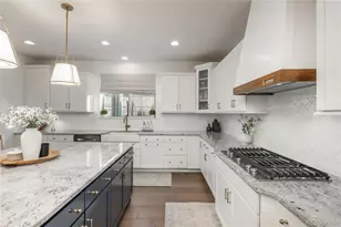 802 Braesheather Pl, Highlands Ranch, CO 80126 - Photo 11