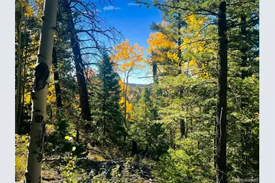 Lot 6187 Starkbeather Road, Fort Garland, CO 81133 - Photo 5