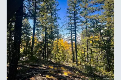 Lot 6187 Starkbeather Road, Fort Garland, CO 81133 - Photo 7