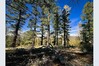 Lot 6187 Starkbeather Road, Fort Garland, CO 81133 - Photo 11