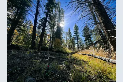 Lot 6187 Starkbeather Road, Fort Garland, CO 81133 - Photo 9