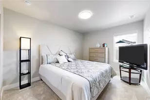 9787 Banner Peak St, Littleton, CO 80125 - Photo 21