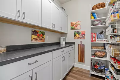 164 Rockingham Circle, Castle Pines, CO 80108 - Photo 21