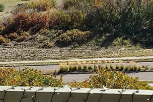 164 Rockingham Cir, Castle Pines, CO 80108 - Photo 33