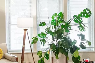 208 S Lincoln St, Denver, CO 80209 - Photo 13