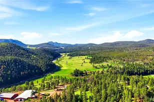 28182 Bonanza Dr, Evergreen, CO 80439 - Photo 47