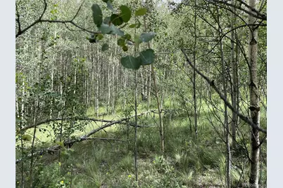 6325 Remington Road, Como, CO 80432 - Photo 9