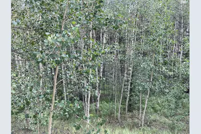 6325 Remington Road, Como, CO 80432 - Photo 7