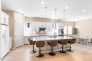 1048 Brocade Dr, Highlands Ranch, CO 80126 - Photo 7