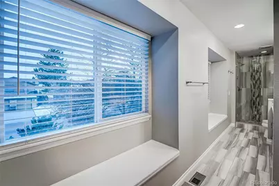 953 Shadow Mountain Drive, Highlands Ranch, CO 80126 - Photo 21