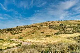 11724 Spotted St, Parker, CO 80134 - Photo 39