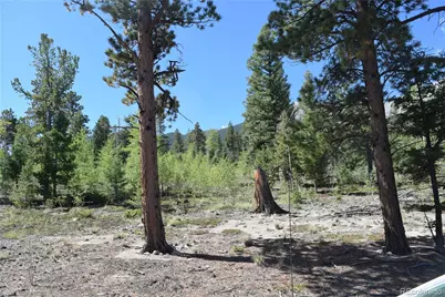 17225 County Road 327, Buena Vista, CO 81211 - Photo 9