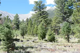 17225 Co Rd 327, Buena Vista, CO 81211 - Photo 1