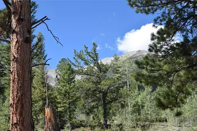 17225 County Road 327, Buena Vista, CO 81211 - Photo 5