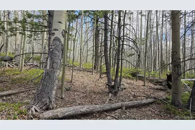 Lot 5853 Slegers Road, Fort Garland, CO 81133 - Photo 13