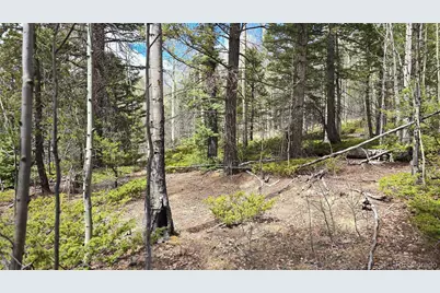Lot 5853 Slegers Road, Fort Garland, CO 81133 - Photo 3