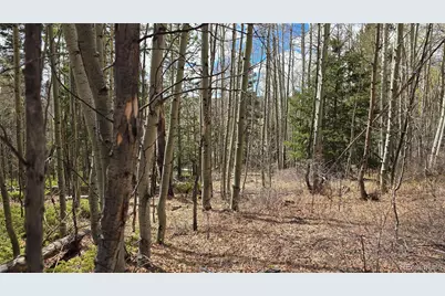 Lot 5853 Slegers Road, Fort Garland, CO 81133 - Photo 5