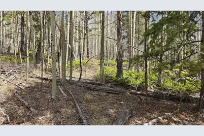 Lot 5853 Slegers Road, Fort Garland, CO 81133 - Photo 11