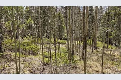 Lot 5853 Slegers Road, Fort Garland, CO 81133 - Photo 9