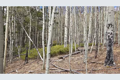 Lot 5853 Slegers Road, Fort Garland, CO 81133 - Photo 17