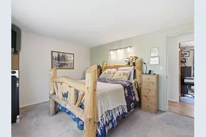 399 Conifer Drive, Bailey, CO 80421 - Photo 15