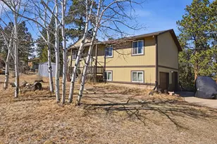 399 Conifer Dr, Bailey, CO 80421 - Photo 27