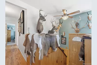 399 Conifer Drive, Bailey, CO 80421 - Photo 11