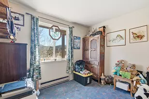 399 Conifer Dr, Bailey, CO 80421 - Photo 23