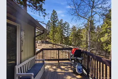 399 Conifer Drive, Bailey, CO 80421 - Photo 35