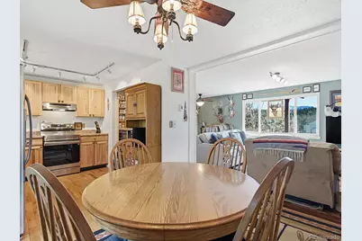 399 Conifer Drive, Bailey, CO 80421 - Photo 7