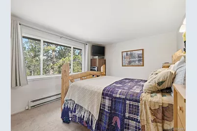 399 Conifer Drive, Bailey, CO 80421 - Photo 13