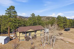 399 Conifer Dr, Bailey, CO 80421 - Photo 41