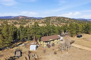399 Conifer Dr, Bailey, CO 80421 - Photo 37