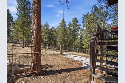 399 Conifer Drive, Bailey, CO 80421 - Photo 17