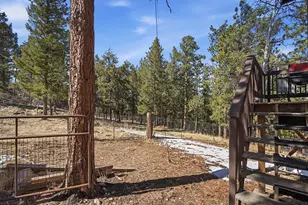 399 Conifer Dr, Bailey, CO 80421 - Photo 17